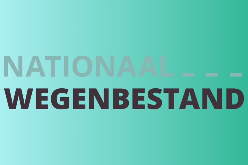 Nationaal Wegenbestand