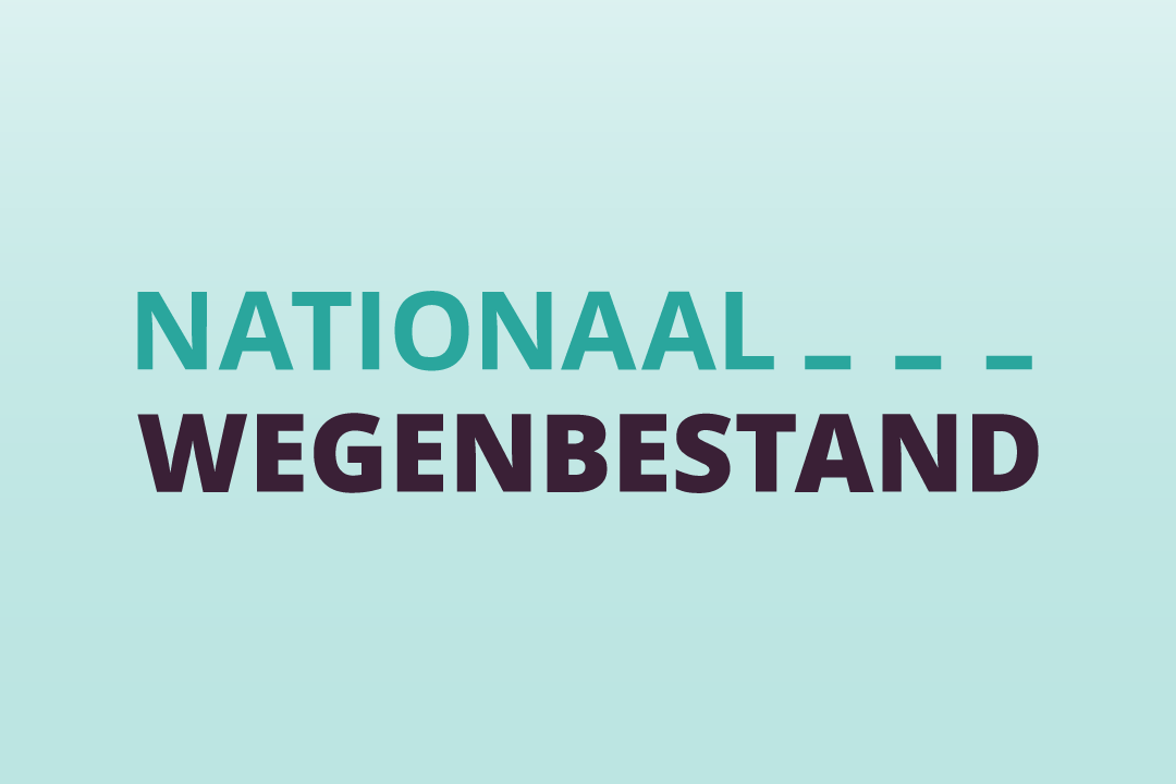Nationaal Wegenbestand